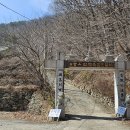 삼백육십오일사 Daum카페