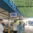 유흥농장 이미지