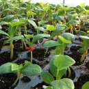 선비골농장 이미지