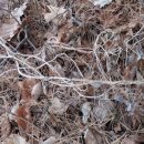 산골짜기농장 이미지