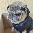 반송재로 이미지