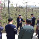 장성종합시장 이미지