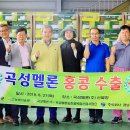 곡성멜론 이미지