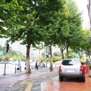 휴먼시아 1차@ 유진샵 부근 | 잠실미용실 준오헤어 잠실점 유진쌤 레이어드컷 후기