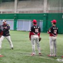 아마미