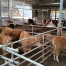 워니 농장 이미지