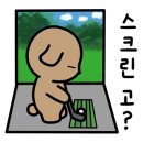 라베스크린골프 이미지