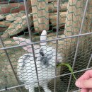 천둥목장 이미지