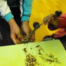 어깨동무신나는집 이미지