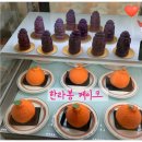 아진키즈풀빌라 | 안도르(제주 동쪽 카페 추천, 구좌 포토존, 웨딩 스냅 핫플)