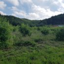 자연같이 팜 이미지