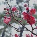 강남고운의원 이미지