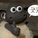케이짐 이미지