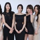 드레스진 이미지