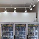 외동팜 | 제주 기호성미친 강아지수제간식•용품점 페퍼밀 다녀왔어요 내돈내산 솔직후기