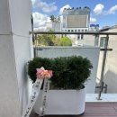 바인치과의원 이미지