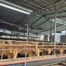 구만농장 이미지