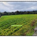 신산보건진료소 이미지