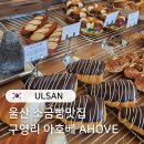 아호베 | 울산 소금빵맛집 구영리 아호베 내돈내산 N번째 방문 울산 강아지동반카페
