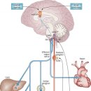 자연치유한의원 이미지