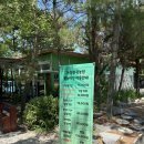 논산관광농원 | 대전근교 물놀이 논산 관광농원 야외수영장 다녀온 솔직후기