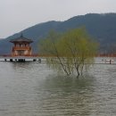 암농장 Daum카페