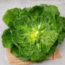봄동
