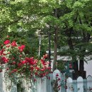 마곡 셀프사진관 공간대여 강서구 목동 렌탈스튜디오 메롱스튜디오 후기