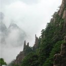 [중국의 명산] 황산(서해 대협곡) 이미지