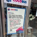 코코러스 이미지