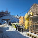 낭만목장 | [강원 평창] 대관령주주파크 눈밭으로 새하얘진 낭만목장 방문 후기