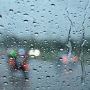 하울라스틱 이미지