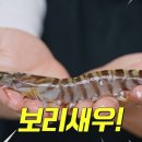 새우가격에 기겁하는 유튜버의 딸 이미지