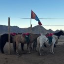 무당바위 | 몽골여행 #5 ㅣ 테를지 국립공원 코스 일정 숙소, 기념품샵, 거북이바위, 승마체험