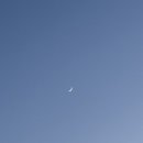 요가모아나