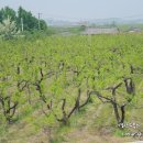 바람햇살농장 이미지