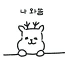 떡두껍집 이미지