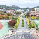 동국대학교일산불교한방병원 이미지