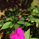 서일유통 이미지