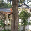 영진2리 이미지