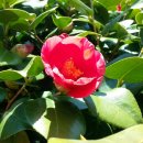 회화면사무소 이미지