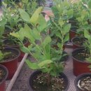 잘크는농장 이미지