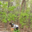 상오농장 이미지