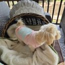 현계경로당 이미지