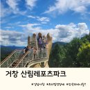 (주)성진오토파크 | 거창핫플 산림레포츠파크 트리탑전망대 주차, 이용시간, 이용요금