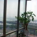 에스메딕 이미지