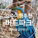 자연부화장 | 실내 동물 체험 끝판왕! 경주버드파크에서 아이들과 특별한 하루