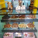 꽃개애견미용 이미지