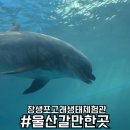 소사생태길(백일) | 장생포 고래생태체험관 울산 주말 나들이로 강추