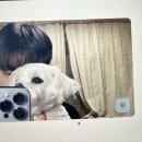디비스파월드 | 2024년 3월 일기